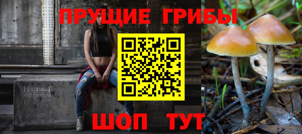 Иваново  Галлюциногенные грибы Psilocybe  Вход с VPN 